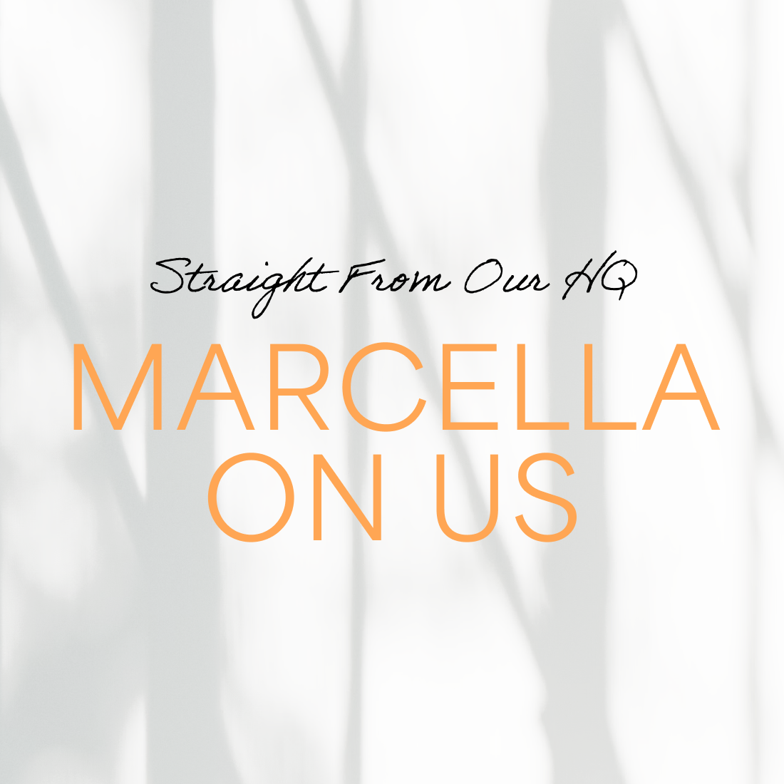 Staff Picks Edition: Marcella On Us.