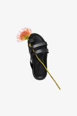 #Black