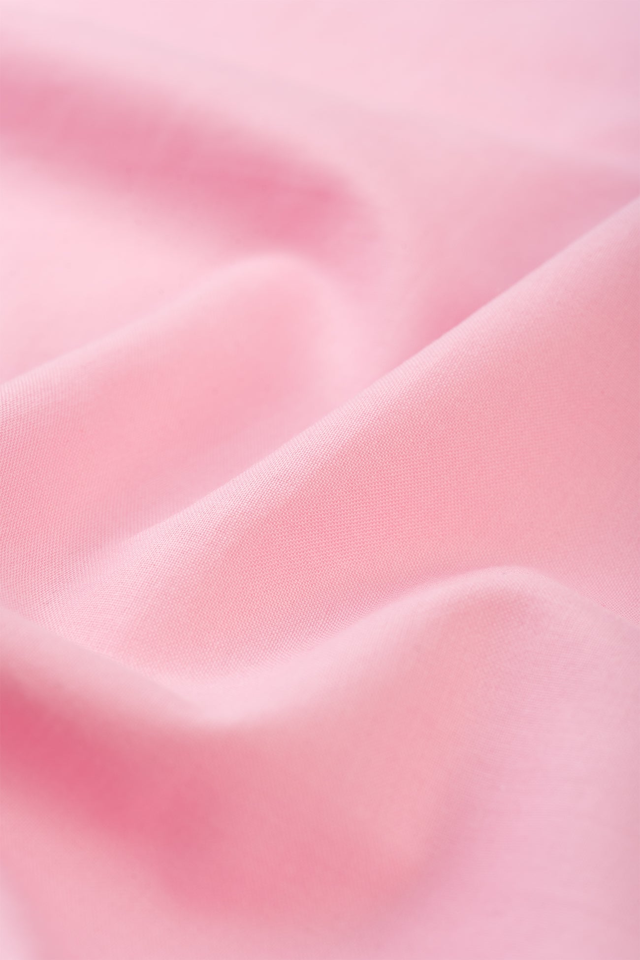 #Peony Pink